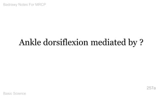 Ankle dorsiflexion mediated by ? 
257a 
Badrawy Notes For MRCP 
Basic Science 
 