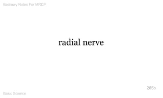 radial nerve 
265b 
Badrawy Notes For MRCP 
Basic Science 
 