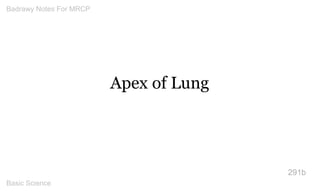 Apex of Lung 
291b 
Badrawy Notes For MRCP 
Basic Science 
 