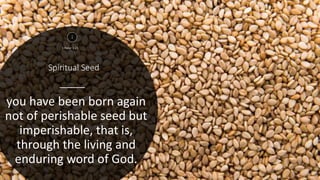Spiritual Seed
1
4
you have been born again
not of perishable seed but
imperishable, that is,
through the living and
enduring word of God.
1 Peter 1:23
 