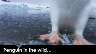 quit trying to “beat Google”
 