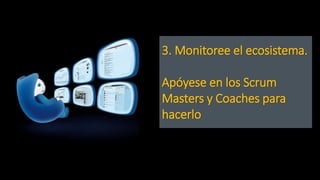 3. Monitoree el ecosistema.
Apóyese en los Scrum
Masters y Coaches para
hacerlo
 