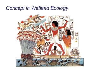 Concept in Wetland Ecology 