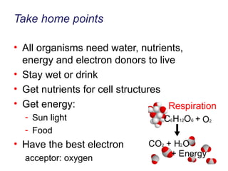 Take home points All organisms need water, nutrients, energy and electron donors to live Stay wet or drink Get nutrients for cell structures Get energy: Sun light Food Have the best electron acceptor: oxygen 