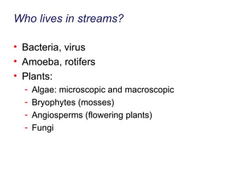 Who lives in streams? Bacteria, virus Amoeba, rotifers Plants: Algae: microscopic and macroscopic Bryophytes (mosses)  Angiosperms (flowering plants) Fungi 