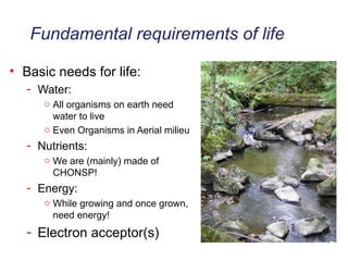 Basic needs for life: Water: All organisms on earth need water to live Even Organisms in Aerial milieu Nutrients: We are (mainly) made of CHONSP! Energy: While growing and once grown, need energy! Electron acceptor(s) Fundamental requirements of life 