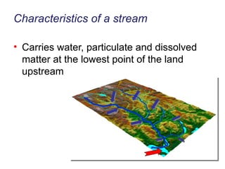 Characteristics of a stream Carries water, particulate and dissolved matter at the lowest point of the land upstream 