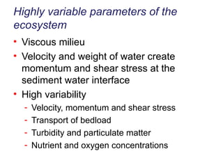 Highly variable parameters of the ecosystem Viscous milieu Velocity and weight of water create momentum and shear stress at the sediment water interface High variability Velocity, momentum and shear stress Transport of bedload  Turbidity and particulate matter Nutrient and oxygen concentrations 