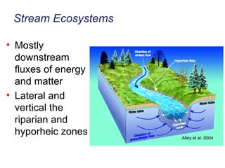 Stream Ecosystems Mostly downstream fluxes of energy and matter Lateral and vertical the riparian and hyporheic zones 