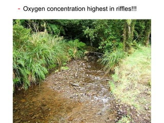 Oxygen concentration highest in riffles!!! 