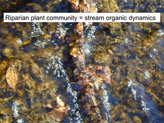 Riparian plant community = stream organic dynamics 