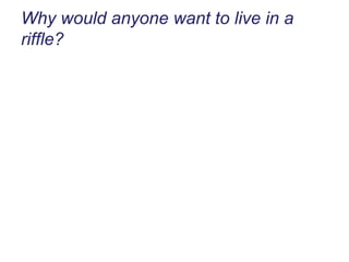 Why would anyone want to live in a riffle? 