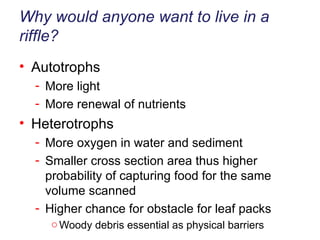 Why would anyone want to live in a riffle? Autotrophs More light More renewal of nutrients Heterotrophs More oxygen in water and sediment Smaller cross section area thus higher probability of capturing food for the same volume scanned Higher chance for obstacle for leaf packs Woody debris essential as physical barriers 