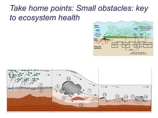 Take home points: Small obstacles: key to ecosystem health 