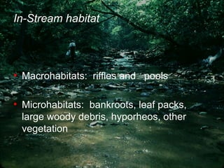 In-Stream habitat Macrohabitats:  riffles and  pools Microhabitats:  bankroots, leaf packs, large woody debris, hyporheos, other vegetation 