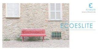 Ecoeslite Company Profile20160901