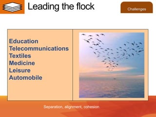Education
Telecommunications
Textiles
Medicine
Leisure
Automobile
Separation, alignment, cohesion
Leading the flock Challenges
 