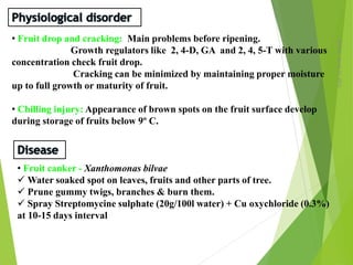 Monday,March23,2015
15
• Fruit drop and cracking: Main problems before ripening.
Growth regulators like 2, 4-D, GA and 2, 4, 5-T with various
concentration check fruit drop.
Cracking can be minimized by maintaining proper moisture
up to full growth or maturity of fruit.
• Chilling injury: Appearance of brown spots on the fruit surface develop
during storage of fruits below 9º C.
• Fruit canker - Xanthomonas bilvae
 Water soaked spot on leaves, fruits and other parts of tree.
 Prune gummy twigs, branches & burn them.
 Spray Streptomycine sulphate (20g/100l water) + Cu oxychloride (0.3%)
at 10-15 days interval
 