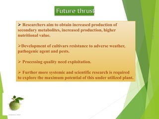 Monday,March23,2015
18
 Researchers aim to obtain increased production of
secondary metabolites, increased production, higher
nutritional value.
Development of cultivars resistance to adverse weather,
pathogenic agent and pests.
 Processing quality need exploitation.
 Further more systemic and scientific research is required
to explore the maximum potential of this under utilized plant.
 