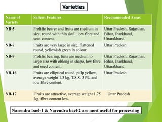 Monday,March23,2015
6
Name of
Variety
Salient Features Recommended Areas
NB-5 Prolific bearer and fruits are medium in
size, round with thin skull, low fibre and
seed content.
Uttar Pradesh, Rajasthan,
Bihar, Jharkhand,
Uttarakhand
NB-7 Fruits are very large in size, flattened
round, yellowish green in colour.
Uttar Pradesh
NB-9 Prolific bearing, fuits are medium to
large size with oblong in shape, low fibre
and seed content.
Uttar Pradesh, Rajasthan,
Bihar, Jharkhand,
Uttarakhand
NB-16 Fruits are elliptical round, pulp yellow,
average weight 1.3 kg, T.S.S. 31%, and
low fibre content.
Uttar Pradesh
NB-17 Fruits are attractive, average weight 1.75
kg, fibre content low.
Uttar Pradesh
Narendra bael-1 & Narendra bael-2 are most useful for processing
 