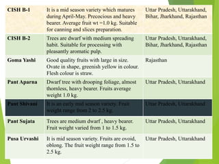 Monday,March23,2015
7
CISH B-1 It is a mid season variety which matures
during April-May. Precocious and heavy
bearer. Average fruit wt =1.0 kg. Suitable
for canning and slices preparation.
Uttar Pradesh, Uttarakhand,
Bihar, Jharkhand, Rajasthan
CISH B-2 Trees are dwarf with medium spreading
habit. Suitable for processing with
pleasantly aromatic pulp.
Uttar Pradesh, Uttarakhand,
Bihar, Jharkhand, Rajasthan
Goma Yashi Good quality fruits with large in size.
Ovate in shape, greenish yellow in colour.
Flesh colour is straw.
Rajasthan
Pant Aparna Dwarf tree with drooping foliage, almost
thornless, heavy bearer. Fruits average
weight 1.0 kg.
Uttar Pradesh, Uttarakhand
Pant Shivani It is an early mid season variety. Fruit
weight range from 2 to 2.5 kg.
Uttar Pradesh, Uttarakhand
Pant Sujata Trees are medium dwarf , heavy bearer.
Fruit weight varied from 1 to 1.5 kg.
Uttar Pradesh, Uttarakhand
Pusa Urvashi It is mid season variety. Fruits are ovoid,
oblong. The fruit weight range from 1.5 to
2.5 kg.
Uttar Pradesh, Uttarakhand
 