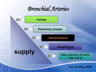 Bronchial Arteries
supply
trachea
Pulmonary airways
Visceral pleura
esophagus
Vasa vasorum of aorta,
Pul. A & V
(van den Berg, 2006)
 