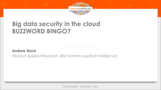 Big data security in the cloud
BUZZWORD BINGO?
Andrew Stock
Head of Applied Research, BAE Systems Applied Intelligence
 