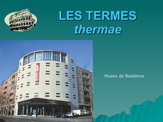 LES TERMES thermae Museu de Badalona 
