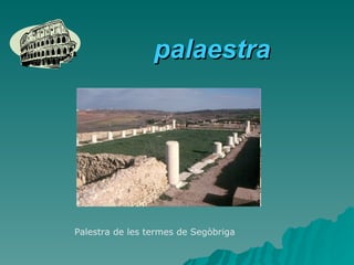 palaestra Palestra de les termes de Segòbriga 