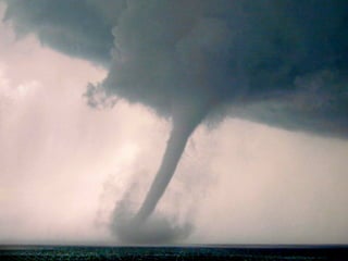 New Stories for New Platforms