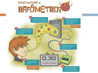 Equações químicas
 