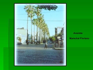 Avenida Marechal Floriano 