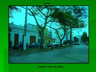 RUAS AVENIDA TUPY SILVEIRA 