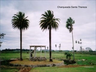 Charqueada Santa Thereza 