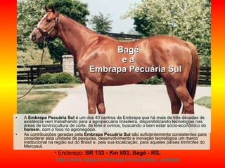 A  Embrapa Pecuária Sul  é um dos 40 centros da Embrapa que há mais de três décadas de existência vem trabalhando para a agropecuária brasileira, disponibilizando tecnologias nas áreas de bovinocultura de corte, de leite e ovinos, buscando o bem estar sócio-econômico do  homem , com o foco no agronegócio.  As contribuições geradas pela  Embrapa Pecuária Sul  são suficientemente consistentes para considerar esta unidade de pesquisa, desenvolvimento e inovação tecnológica um marco institucional na região sul do Brasil e, pela sua localização, para aqueles países limítrofes do Mercosul.  Bagé  e a    Embrapa Pecuária Sul Endereço:  BR 153 - Km 603, Bagé - RS.  http://www.cppsul.embrapa.br/unidade/a_unidade 