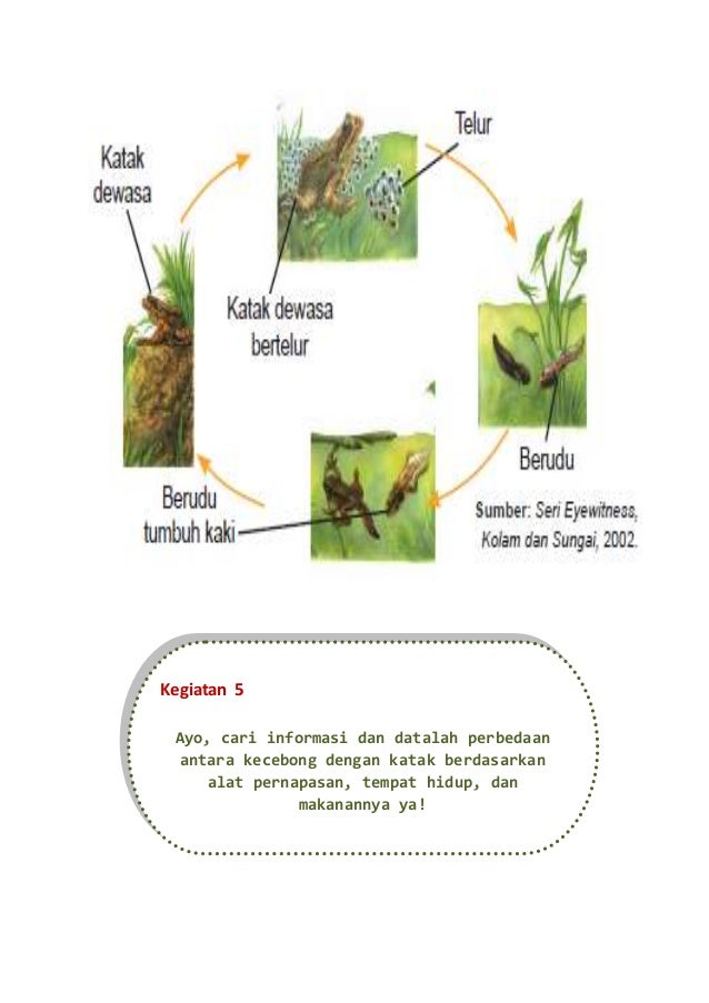 Daur hidup-modul 2