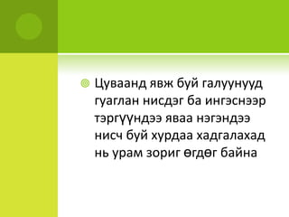 Монголчуудыгбагааражиллахчадваргүйгэжспортдээржишээавантайлбарлахньтүгээмэлбайдаг. Бокс, сумо, жудодамжилтгаргадагатлаахөлбөмбөг, сагсанбөмбөгт 00 гэхзэргээр хүмүүс ярилцдаг. Чингис