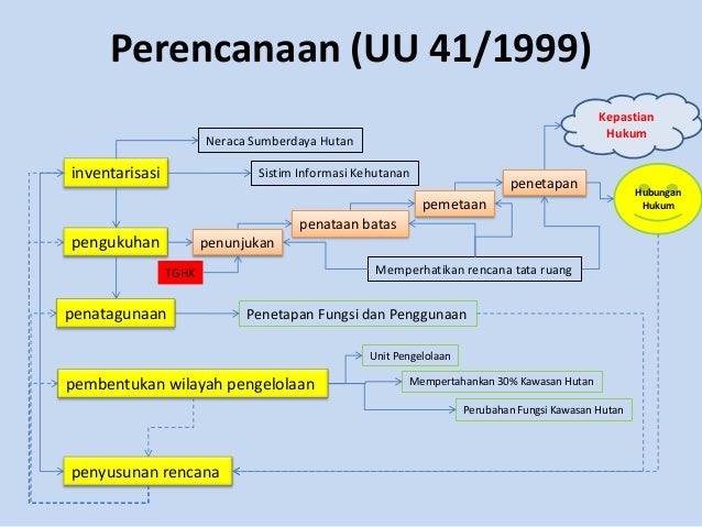 Bagaimana negara dan korporasi mengurus hutan indonesia
