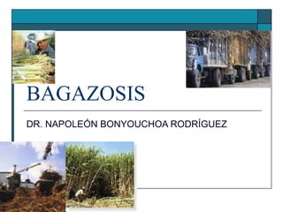 BAGAZOSIS
DR. NAPOLEÓN BONYOUCHOA RODRÍGUEZ
 