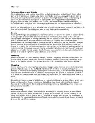 20 | P a g e
Trimming Steams and Shoots
Some plants have a sprawling, scrambling and climbing nature and although this is often
part of their attraction, occasionally stems need to be trimmed. Always trim them from a
leaf-joint, using a sharp knife, scissors or just by holding the stem firmly and snapping it
sideways. Never leave a short piece of stem as this encourages the onset of decay.
Slightly woody stems, such as those on azaleas, are best trimmed with sharp scissors,
cutting back to a leaf-joint. This encourages bushiness and the development of side shoots.
Encourage young plants to form a bushy base by nipping back young shoots to leaf-joints. If
this job is neglected. Plants become bare at their bases and unappealing.
Hoeing
Hoeing or forking is an operation in which the surface soil around the plant, is loosened with
a hoe (khurpi) or a fork and is turned inside out. The hoeing may be up to 7-15 cm (3-
16in.) depth. The object of hoeing is to keep the soil porous so that light, air and water may
reach the roots better, to improve moisture-retention capacity and to remove weeds.
Hoeing has to be done carefully so that the surface or stem roots are not damaged. Hoeing
should be done when soil is moist or dry but not wet and soggy. The best procedure for
hoeing is to water the plants in the morning, hoeing them in the evening and then watering
in the morning. An interval between hoeing and watering helps in the aeration of roots and
absorption of water from a greater depth. Sudden exposure to heat during the hot sunshine
period or to cold at night may cause damage to the roots.
Weeding
Removal of weeds is called weeding. Weeds, besides competing with the garden plants for
nourishment, are also sometimes hosts to pests and diseases, which are transferred from
them to the garden plants. They should, therefore, be removed as soon as they appear.
Stopping
means pinching of a growing shoot of a plant. Stopping also includes removal of side shoots
growing from the axis of the leaf joint with the main shoot as in balsam, larkspur, or
tomato, in order to let the energy of the plant be diverted fully to the flower stem. Stopping
may be done more than once in a season, depending on the growth of plant and its variety.
It is better not to stop more than one or two big shoots and 3-4 small shoots at a time in a
plant.
Disbudding means removal of all but one or two selected buds on a stem. Plants which have
large and decorative flowers need more disbudding than those with small and medium
flowers. Chrysanthemum, dahlia and carnation require heavy disbudding, while roses need
comparatively less of it.
Dead heading
Removal of withered flowers from the plant is called dead heading. Flower is produced in
nature for producing seeds and as soon as seeds are produced the natural function of the
plant having been over, it dies or rests. Therefore, a garden plant should not be allowed to
seed except for purposes of collection of seed. Removal of withered, dried flowers is thus to
prevent the plant from seeding.
 
