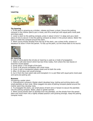 25 | P a g e
Layering
Tip layering
1. If the plant is growing as a climber, release and lower a shoot. Ensure the potting
compost in the mother plant's pot is moist, and fill a small pot with equal parts moist peat
and sharp sand.
2. Lower a stem to the potting compost, press in about 2.5cm/ l in deep and use a bent
piece of wire to secure it into the potting compost as shown in the picture above. Water the
plant to settle the compost around the stem.
3. When young shoots develop from the tip of the stem, use a sharp knife, scissors or
secateurs to sever it from the parent. To tidy up the plant, cut the shoot back to its source.
Air layering
In case of some plants like shrubs air layering is used as a mode of propagation.
1. Select a soft side branch which has two three nodes, from where the new leaves or
branches would appear.
2. Scrap about 1 inch length of the bark.
3. Cover it all around completely with moist moss.
4. Cover it with a transparent plastic sheet and tie both the ends.
5. After 15-20 days root would emerge.
6. Cut it from the main plant side and transplant it in a pot filled with equal parts moist peat
and sand and potting soil.
Runners
Increasing a spider plant:
1. Chlorophytum comosum (Spider plant) develops long, trailing and arching stems with
small plantlets at their ends. When pegged into pots of potting compost placed around the
mother plant they develop roots.
2. To propagate the plant, use small pieces of bent wire or hairpin to secure the plantlets
into the potting compost. Water, place in gentle warmth.
3. When young shoots start to develop from the plantlets, cut the shoots from the parent
plant and move them into a lightly shaded position until growing strongly. Keep the potting
compost moist.
 