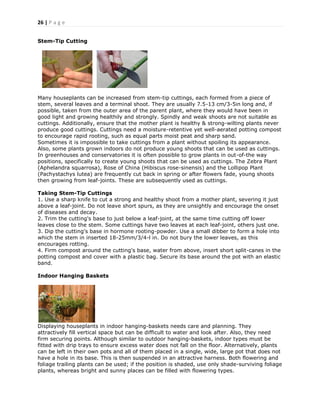26 | P a g e
Stem-Tip Cutting
Many houseplants can be increased from stem-tip cuttings, each formed from a piece of
stem, several leaves and a terminal shoot. They are usually 7.5-13 cm/3-5in long and, if
possible, taken from the outer area of the parent plant, where they would have been in
good light and growing healthily and strongly. Spindly and weak shoots are not suitable as
cuttings. Additionally, ensure that the mother plant is healthy & strong-wilting plants never
produce good cuttings. Cuttings need a moisture-retentive yet well-aerated potting compost
to encourage rapid rooting, such as equal parts moist peat and sharp sand.
Sometimes it is impossible to take cuttings from a plant without spoiling its appearance.
Also, some plants grown indoors do not produce young shoots that can be used as cuttings.
In greenhouses and conservatories it is often possible to grow plants in out-of-the way
positions, specifically to create young shoots that can be used as cuttings. The Zebra Plant
(Aphelandra squarrosa), Rose of China (Hibiscus rose-sinensis) and the Lollipop Plant
(Pachystachys lutea) are frequently cut back in spring or after flowers fade, young shoots
then growing from leaf-joints. These are subsequently used as cuttings.
Taking Stem-Tip Cuttings
1. Use a sharp knife to cut a strong and healthy shoot from a mother plant, severing it just
above a leaf-joint. Do not leave short spurs, as they are unsightly and encourage the onset
of diseases and decay.
2. Trim the cutting's base to just below a leaf-joint, at the same time cutting off lower
leaves close to the stem. Some cuttings have two leaves at each leaf-joint, others just one.
3. Dip the cutting's base in hormone rooting-powder. Use a small dibber to form a hole into
which the stem in inserted 18-25mm/3/4-l in. Do not bury the lower leaves, as this
encourages rotting.
4. Firm compost around the cutting's base, water from above, insert short split-canes in the
potting compost and cover with a plastic bag. Secure its base around the pot with an elastic
band.
Indoor Hanging Baskets
Displaying houseplants in indoor hanging-baskets needs care and planning. They
attractively fill vertical space but can be difficult to water and look after. Also, they need
firm securing points. Although similar to outdoor hanging-baskets, indoor types must be
fitted with drip trays to ensure excess water does not fall on the floor. Alternatively, plants
can be left in their own pots and all of them placed in a single, wide, large pot that does not
have a hole in its base. This is then suspended in an attractive harness. Both flowering and
foliage trailing plants can be used; if the position is shaded, use only shade-surviving foliage
plants, whereas bright and sunny places can be filled with flowering types.
 