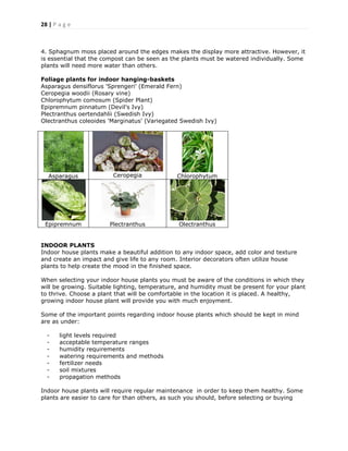 28 | P a g e
4. Sphagnum moss placed around the edges makes the display more attractive. However, it
is essential that the compost can be seen as the plants must be watered individually. Some
plants will need more water than others.
Foliage plants for indoor hanging-baskets
Asparagus densiflorus 'Sprengeri' (Emerald Fern)
Ceropegia woodii (Rosary vine)
Chlorophytum comosum (Spider Plant)
Epipremnum pinnatum (Devil's Ivy)
Plectranthus oertendahlii (Swedish Ivy)
Olectranthus coleoides 'Marginatus' (Variegated Swedish Ivy)
Asparagus Ceropegia Chlorophytum
Epipremnum Plectranthus Olectranthus
INDOOR PLANTS
Indoor house plants make a beautiful addition to any indoor space, add color and texture
and create an impact and give life to any room. Interior decorators often utilize house
plants to help create the mood in the finished space.
When selecting your indoor house plants you must be aware of the conditions in which they
will be growing. Suitable lighting, temperature, and humidity must be present for your plant
to thrive. Choose a plant that will be comfortable in the location it is placed. A healthy,
growing indoor house plant will provide you with much enjoyment.
Some of the important points regarding indoor house plants which should be kept in mind
are as under:
- light levels required
- acceptable temperature ranges
- humidity requirements
- watering requirements and methods
- fertilizer needs
- soil mixtures
- propagation methods
Indoor house plants will require regular maintenance in order to keep them healthy. Some
plants are easier to care for than others, as such you should, before selecting or buying
 