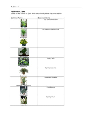 31 | P a g e
INDOOR PLANTS
Some of the easier to grow available indoor plants are given below:
Common Name Botanical Name
Aloe Vera
Aloe Barbadensis Miller
Areca Palm
Chrysalidocarpus lutescens
Pothos
Philodendron
English Ivy
Hedera helix
Boston Fern
Epholepsis exalta
Mother In Laws Tongue
Sansevieria laurentil
Rubber Plant
Ficus Elastica
Peace Lily
Spathiphyllum
 