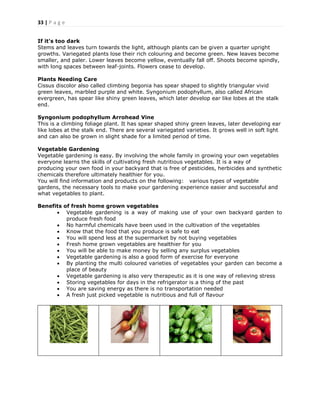 33 | P a g e
If it's too dark
Stems and leaves turn towards the light, although plants can be given a quarter upright
growths. Variegated plants lose their rich colouring and become green. New leaves become
smaller, and paler. Lower leaves become yellow, eventually fall off. Shoots become spindly,
with long spaces between leaf-joints. Flowers cease to develop.
Plants Needing Care
Cissus discolor also called climbing begonia has spear shaped to slightly triangular vivid
green leaves, marbled purple and white. Syngonium podophyllum, also called African
evergreen, has spear like shiny green leaves, which later develop ear like lobes at the stalk
end.
Syngonium podophyllum Arrohead Vine
This is a climbing foliage plant. It has spear shaped shiny green leaves, later developing ear
like lobes at the stalk end. There are several variegated varieties. It grows well in soft light
and can also be grown in slight shade for a limited period of time.
Vegetable Gardening
Vegetable gardening is easy. By involving the whole family in growing your own vegetables
everyone learns the skills of cultivating fresh nutritious vegetables. It is a way of
producing your own food in your backyard that is free of pesticides, herbicides and synthetic
chemicals therefore ultimately healthier for you.
You will find information and products on the following: various types of vegetable
gardens, the necessary tools to make your gardening experience easier and successful and
what vegetables to plant.
Benefits of fresh home grown vegetables
 Vegetable gardening is a way of making use of your own backyard garden to
produce fresh food
 No harmful chemicals have been used in the cultivation of the vegetables
 Know that the food that you produce is safe to eat
 You will spend less at the supermarket by not buying vegetables
 Fresh home grown vegetables are healthier for you
 You will be able to make money by selling any surplus vegetables
 Vegetable gardening is also a good form of exercise for everyone
 By planting the multi coloured varieties of vegetables your garden can become a
place of beauty
 Vegetable gardening is also very therapeutic as it is one way of relieving stress
 Storing vegetables for days in the refrigerator is a thing of the past
 You are saving energy as there is no transportation needed
 A fresh just picked vegetable is nutritious and full of flavour
 