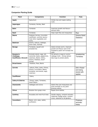 36 | P a g e
Companion Planting Guide
Plant Companions Function Foes
Apple Nasturtium Climbs tree and repels codling
moth.
Asparagus Tomatoes, Parsley, Basil
Balm Tomatoes Improves growth and flavour -
attracts bees
Basil Tomatoes helps repel flies and mosquitoes Rue
Beans Potatoes Carrots, Cucumber,
cauliflower, summer savory,
most other vegetables and
herbs.
Onions Garlic
Gladiolus
Beetroot Onions, Lettuce, Cabbage,
Silver beet, Kohlrabi
Borage Tomatoes, squash and
strawberries
Deters tomato worm, improves
growth and flavour and in the
strawberry patch will increase the
yield.
Brassica’s
(Cabbage,
Cauliflower, Broccoli
Aromatic plants, sage, dill,
camomile, beets, peppermint,
rosemary, Beans, Celery,
Onions, Potatoes, dwarf
zinnias.
Dill attracts a wasp to control
cabbage moth. Zinnias attract
lady bugs to protect plants.
strawberries,
Tomatoes
Broad beans Potatoes, Peas, Beans
Carrots Lettuce, Peas, Leeks, Chives,
Onions, Cucumbers, Beans,
tomatoes, wormwood, sage,
rosemary
Dill in flower
and being
stored with
apples
Cauliflower Celery
Celery & Celeriac Chives, Leeks, Tomatoes,
Dwarf Beans
Chamomile Cabbages and onions Deters flies and mosquitoes and
gives strength to any plant
growing nearby.
Citrus Bracken Fern grape vines Repels stink beetles
Comfrey Avocados and most fruit trees Garden edging, compost activator,
medicinal, foliage spray, nutrient
miner, essential to all gardens.
Cucumbers Beans, corn, peas, radish,
sunflowers
Potatoes,
aromatic
herbs
 