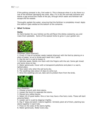 6 | P a g e
If the potting compost is dry, first water it. This is because when it is dry there is a
risk of the fertilizer damaging the roots. Also, if it is dry the soil-ball contracts and
leaves a gap around the inside of the pot, through which water and fertiliser will
escape and be wasted.
Thoroughly agitate the water, ensuring that the fertilizer is completely mixed. Apply
this before it gets settled at the bottom of the container.
 What To Grow
Herbs
An Herb Garden for your kitchen as this will flavor the dishes cooked by you and
make them palatable. Some of the easiest herbs to grow in your garden are:
Coriander (Hara Dhaniya):
1. Crush 2-3 tsp of coriander seeds (saboot dhaniya) with the foot by placing on a
piece of paper, so as to divide each seed into 2 parts.
2. Dig the soil in a pot to loosen it.
3. Sprinkle seeds. Gently mix them with the fingers with the soil. Some get mixed
and some show on top.
4. Water generously. Cover with a transparent polythene and place in a warm,
lighted place.
5. Now water only when the soil turns dry.
6. The seedlings take about 15 days to come out.
7. Once the seedlings are out, take care to protect them from the birds.
Mint (Poodina):
1. Choose a bunch with thick stems.
2. Loosen the bunch to separate the stems.
3. Discard any yellow leaves.
4. Select 10-12 good stalks. One or two may have a few hairy roots. These will start
growing faster.
5. Loosen soil in a pot by digging it lightly.
6. Dig 2" deep and plant 2 stems together. Similarly plant all of them, planting two
stems together in each hole.
7. Press on the sides of the stems lightly.
8. Water generously. Water every day.
 