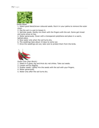 7 | P a g e
Sweet Basel
1. Select good black/brown coloured seeds. Rub it in your palms to remove the outer
cover.
2. Dig the soil in a pot to loosen it.
3. Sprinkle seeds. Gently mix them with the fingers with the soil. Some get mixed
and some show on top.
4. Water generously. Cover with a transparent polythene and place in a warm,
lighted place.
5. Now water only when the soil turns dry.
6. The seedlings take about 15 days to come out.
7. Once the seedlings are out, take care to protect them from the birds.
Green Chili (Hari Mirch):
1. Select 4-5 good, big and thick dry red chilies. Take out seeds.
2. Loosen soil by digging.
3. Scatter seeds. Lightly mix the seeds with the soil with your fingers.
4. Water generously.
5. Water only after the soil turns dry.
 