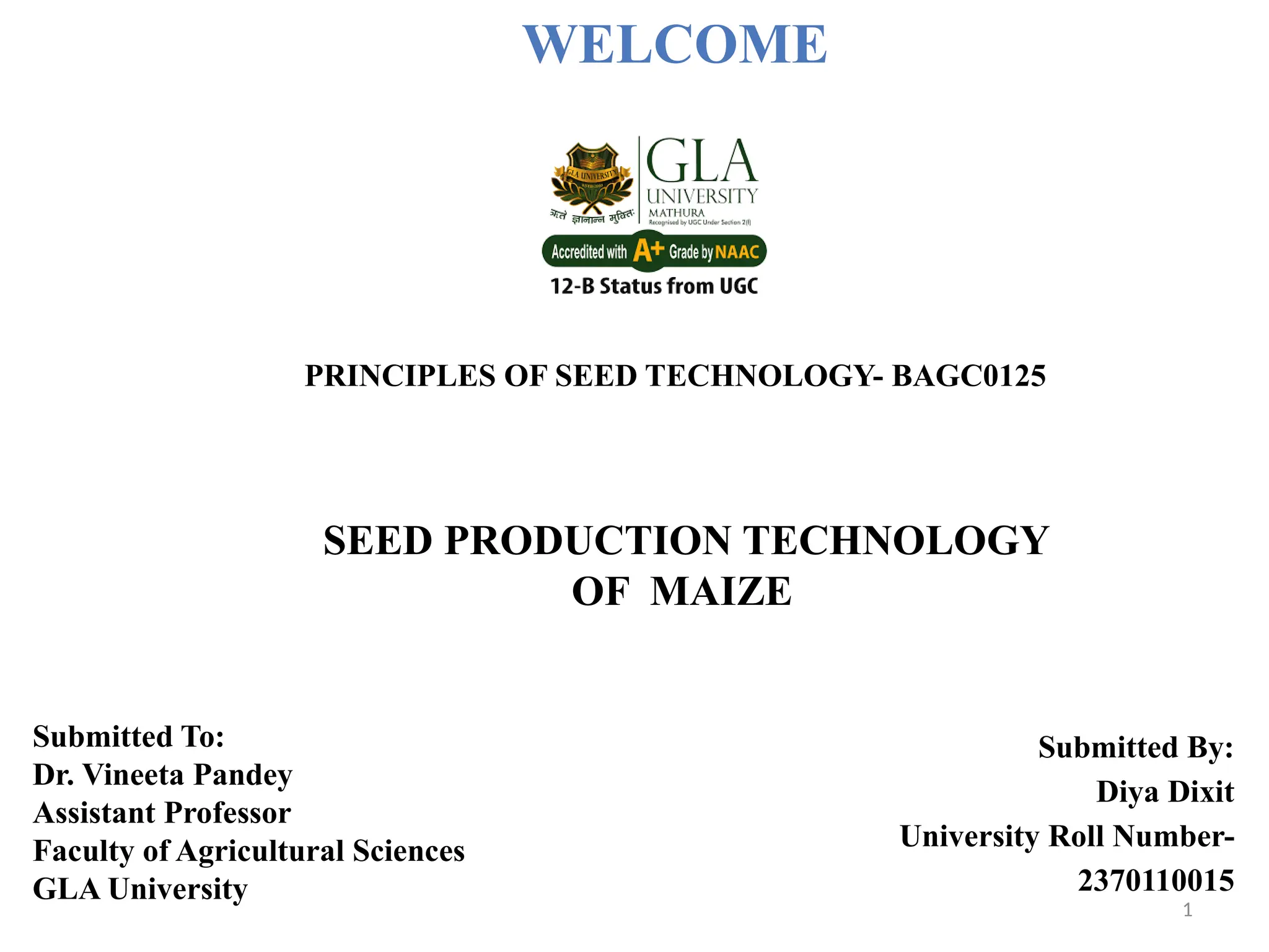 1
Submitted By:
Diya Dixit
University Roll Number-
2370110015
SEED PRODUCTION TECHNOLOGY
OF MAIZE
WELCOME
PRINCIPLES OF SEED TECHNOLOGY- BAGC0125
Submitted To:
Dr. Vineeta Pandey
Assistant Professor
Faculty of Agricultural Sciences
GLA University
 