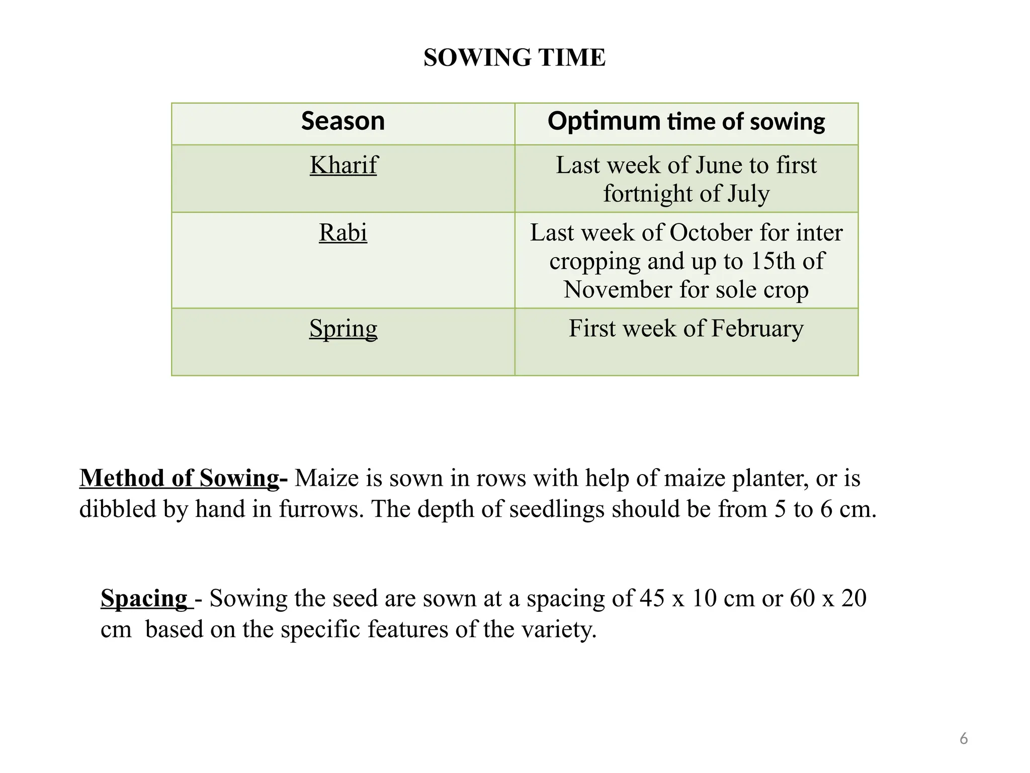 6
SOWING TIME
Season Optimum time of sowing
Kharif Last week of June to first
fortnight of July
Rabi Last week of October for inter
cropping and up to 15th of
November for sole crop
Spring First week of February
Spacing - Sowing the seed are sown at a spacing of 45 x 10 cm or 60 x 20
cm based on the specific features of the variety.
Method of Sowing- Maize is sown in rows with help of maize planter, or is
dibbled by hand in furrows. The depth of seedlings should be from 5 to 6 cm.
 